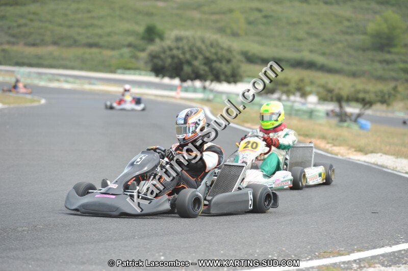 DSC (3426).JPG